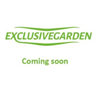 ExclusiveGarden bassins // coming soon
